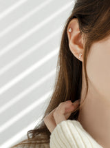 HELLO ANIMAL PIERCING