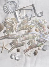 CLEAR AURORA HAIR CLIP